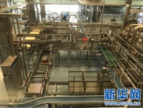 80 是森林湖泊 探访江中制药的智能化生态工厂